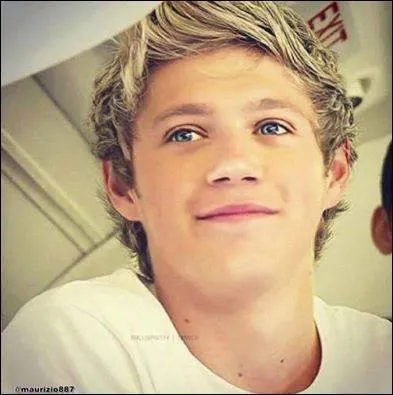 Dans quel clip voit-on Niall dans la douche ?