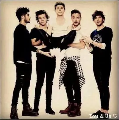 Quelle était la 1re proposition de nom pour le groupe ?