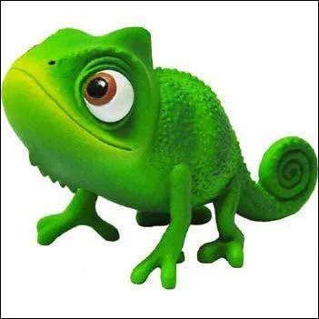Ce petit caméléon est très attaché à Raiponce ; quel est son nom ?