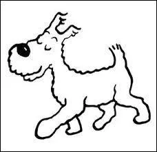 A qui est ce célèbre chien ? Quelle est sa race ?