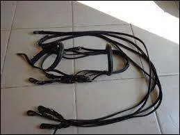 Comment s'appelle cet équipement ?