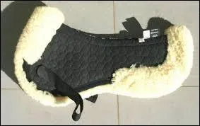 Comment s'appelle cet équipement ?