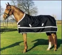 Comment s'appelle cet équipement ?