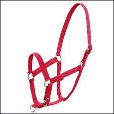 Comment s'appelle cet équipement ?