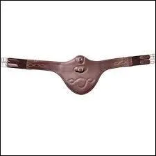 Comment s'appelle cet équipement ?