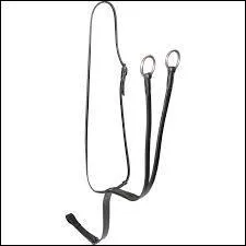 Comment s'appelle cet équipement ?