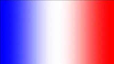 Vrai ou faux ? Durant cette coupe du monde, la France n'a marqué aucun but.