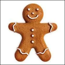 Quel est ce biscuit dont on raffole pendant la période des fêtes ?