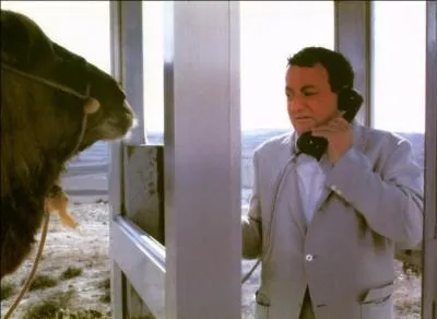 Retrouvez ce film grâce à Coluche, au dromadaire, ou les deux réunis, au choix !