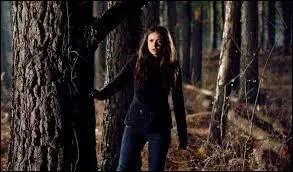 Quel évènement fait retrouver à Elena son humanité ?