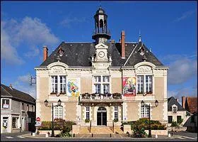 Une commune dont le nom n'est pas très vendeur pour ce qui est question des déménagements, la ville de Vatan, dans le département de l'Indre. Dans quelle région se situe ce département ?