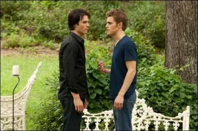 Qui retrouve Stefan et Damon après qu'ils se soient fait enlever ?