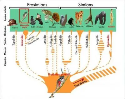Quant à cet arbre, il peut justement déranger certains croyants...