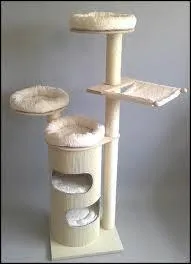 Qui rêverait d'avoir un arbre comme ça à la maison ?