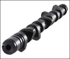 Où trouve-t-on ce genre d'arbre ?