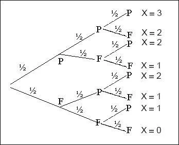 Vous avez une chance sur deux de reconnaître cet arbre...