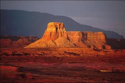 C'est le moment de s'y mettre : qu'est-ce qu'une « mense » ?