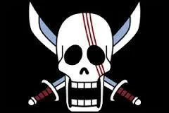 A quel équipage appartient ce drapeau ?