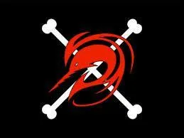 A quel équipage appartient ce drapeau ?