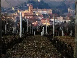 Salles-Arbuissonnais-en-Beaujolais est une commune Rhodanienne située en région ...