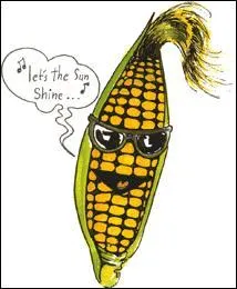 Johnny Be Good : 'Laissons entrer le soleil ! '