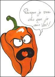 Le Skiso : 'Je vous entends ! Je suis vert , pas rouge ! '