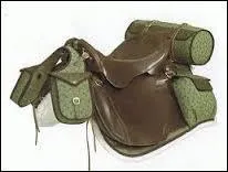 Cette selle est une...