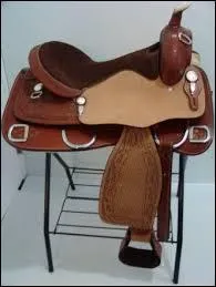 Cette selle est une...