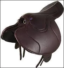 Cette selle est une...