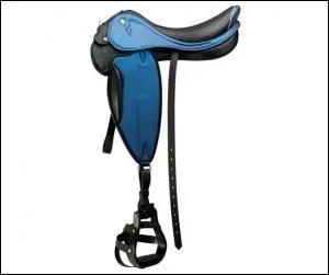 Cette selle est une...