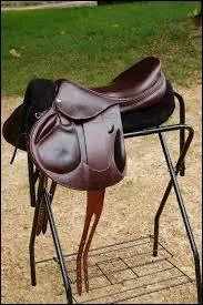 Cette selle est une...