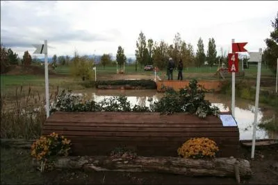 Quel est le nom de cet obstacle ?