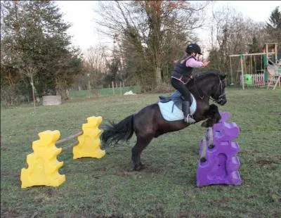 Quel est le nom de cet obstacle ?