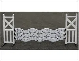 Quel est le nom de cet obstacle ?