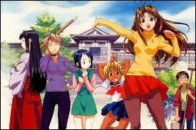 Voici 'Love Hina'. Le personnage qui n'est pas issu de cet anime est...