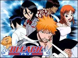 Comme vous l'indique l'image, nous passons à 'Bleach'. Qui est l'intrus ?