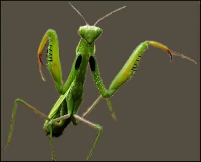 C'est une ville française, ou un loisir !