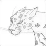 Quel est le familier de Moineau ?