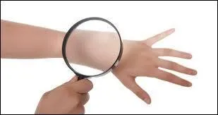 Comment se nomme le principal pigment responsable de la couleur de la peau chez l'être humain ?