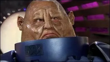 Leur tête est en forme de...