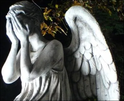 Y en a-t-il sur Terre ?