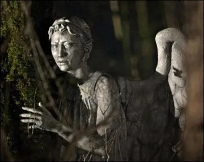 Ils peuvent bouger extrêmement vite.