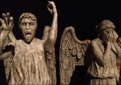 Dans quelle(s) saison(s) les voit-on ?