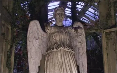 Qui les a déjà vus ?