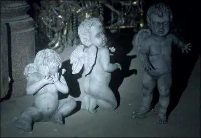 Sait-on d'où ils viennent ?