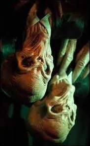 Parmi les compagnons du Docteur, qui a déjà vu les Silents ?