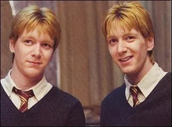 Quels rôles jouent les deux frères jumeaux Weasley : Fred et George ?