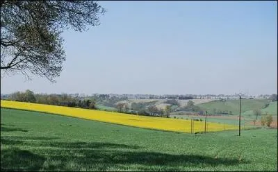 Quelle est la taille du territoire d'un renard &agrave; la campagne ?