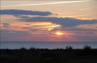 Nous terminerons nos agapes par un verre de bonne liqueur de cochet, mais qu'est-ce donc?