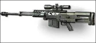 Quelle est cette arme ?